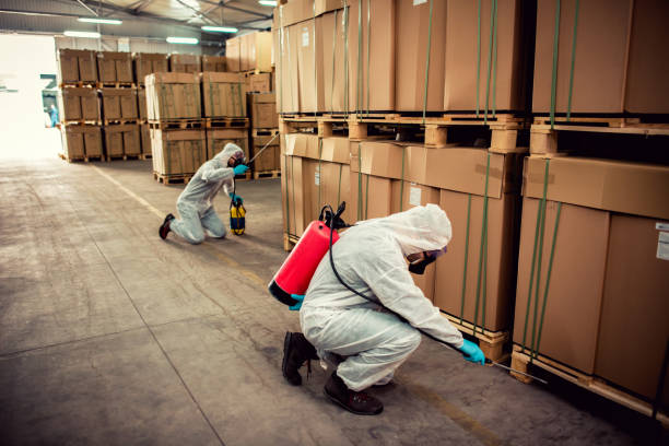 Best Residential Pest Control  in Rmichael, CA