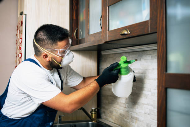 Best Pest Control for Homes  in Rmichael, CA