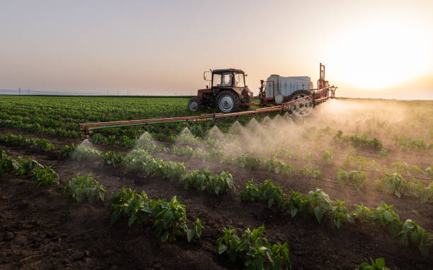 Best Best Pest Control Companies  in Rmichael, CA