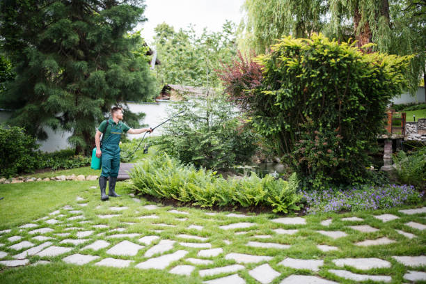 Wasp Removal Services in Carmichael, CA