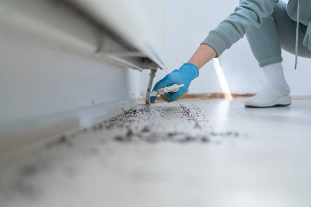 Best Pest Control for Businesses  in Rmichael, CA